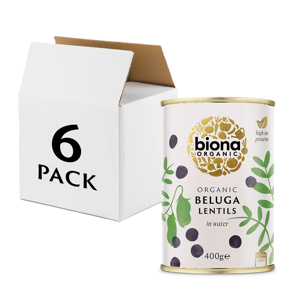 BEANS AND LENTILS IN CANS|NEW